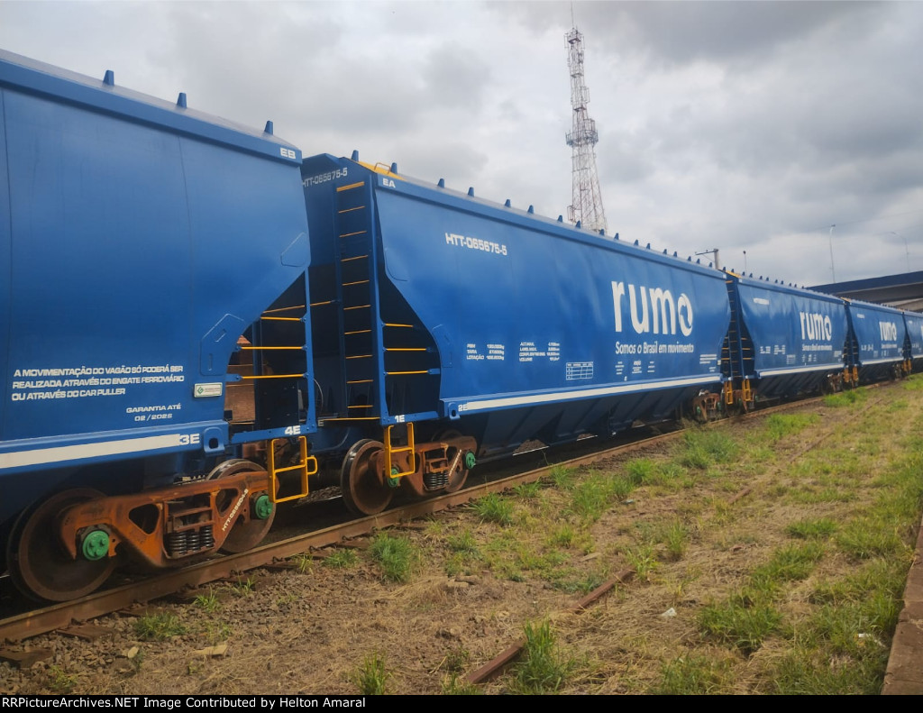 RUMO HTT-065675-5